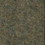 06 올리브